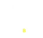 55B